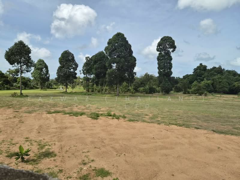 บ้านเดี่ยวรีโนเวท 3 ห้องนอน ประเวศ ใกล้สวนหลวง ร.9 พร้อมสวนส่วนตัว, กรุงเทพ, หนองบอน, ประเวศ, กรุงเทพ, 60 ตร.ม., บ้านเดี่ยว ให้เช่า, โดย Fazwaz (Thailand) Co., Ltd., 500446619 - DDproperty.com