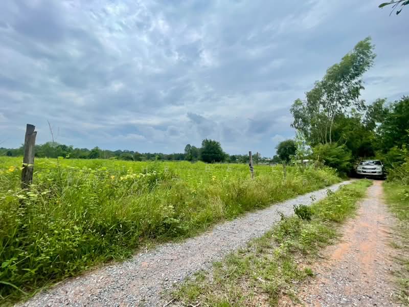 ที่ดินกุดรัง มหาสารคาม, Maha Sarakham, Na Pho, Kut Rang, Maha Sarakham, , 12,800 sqm, Land For Sale, by The Best Property อัคร, 500446623 - DDproperty.com