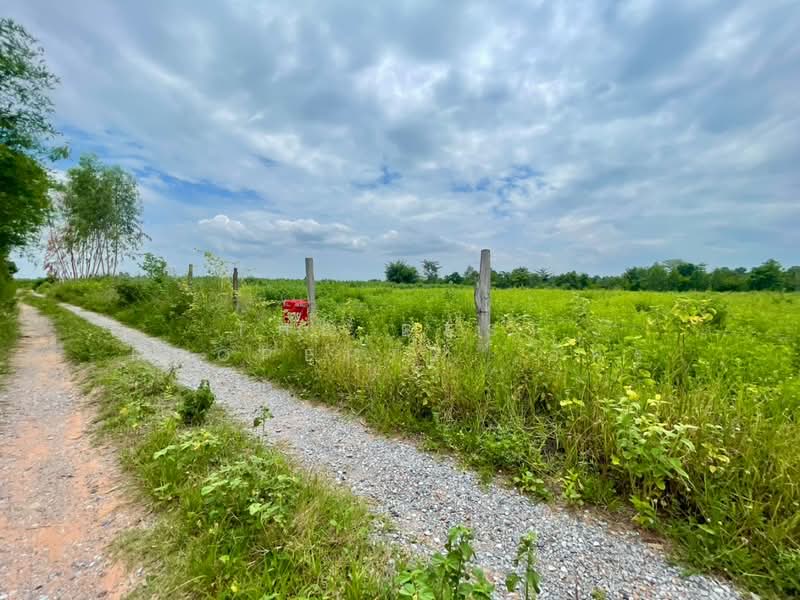 ที่ดินกุดรัง มหาสารคาม, Maha Sarakham, Na Pho, Kut Rang, Maha Sarakham, , 12,800 sqm, Land For Sale, by The Best Property อัคร, 500446623 - DDproperty.com