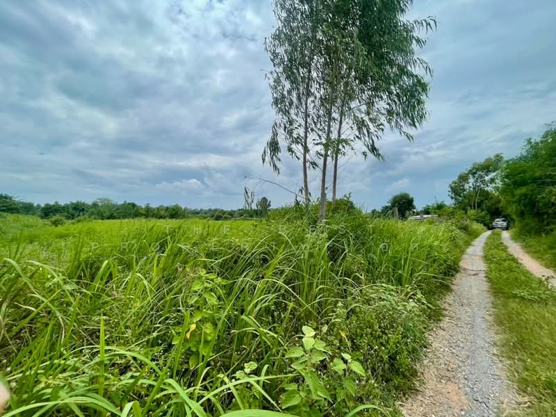 ที่ดินกุดรัง มหาสารคาม, Maha Sarakham, Na Pho, Kut Rang, Maha Sarakham, , 12,800 sqm, Land For Sale, by The Best Property อัคร, 500446623 - DDproperty.com