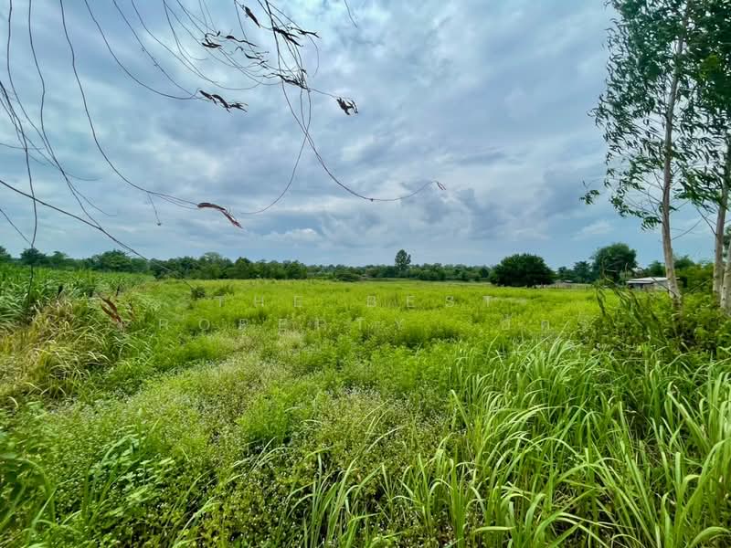 ที่ดินกุดรัง มหาสารคาม, Maha Sarakham, Na Pho, Kut Rang, Maha Sarakham, , 12,800 sqm, Land For Sale, by The Best Property อัคร, 500446623 - DDproperty.com