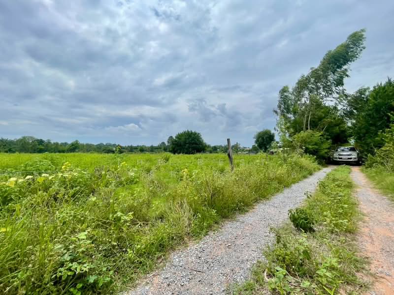 ที่ดินกุดรัง มหาสารคาม, Maha Sarakham, Na Pho, Kut Rang, Maha Sarakham, , 12,800 sqm, Land For Sale, by The Best Property อัคร, 500446623 - DDproperty.com