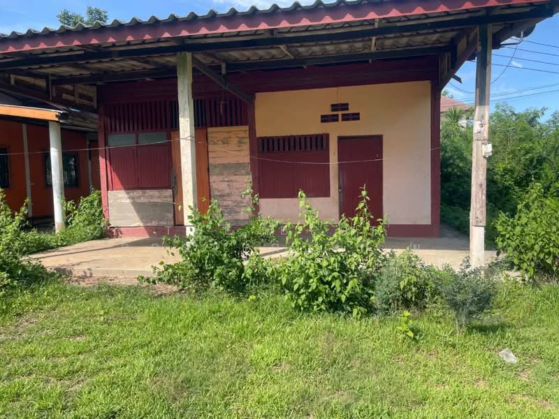 ที่ดินประโคนชัย บุรีรัมย์, บุรีรัมย์, โคกม้า, ประโคนชัย, บุรีรัมย์, 3,200 ตร.ม., ที่ดิน ขาย, โดย The Best Property ยุ, 500446650 - DDproperty.com