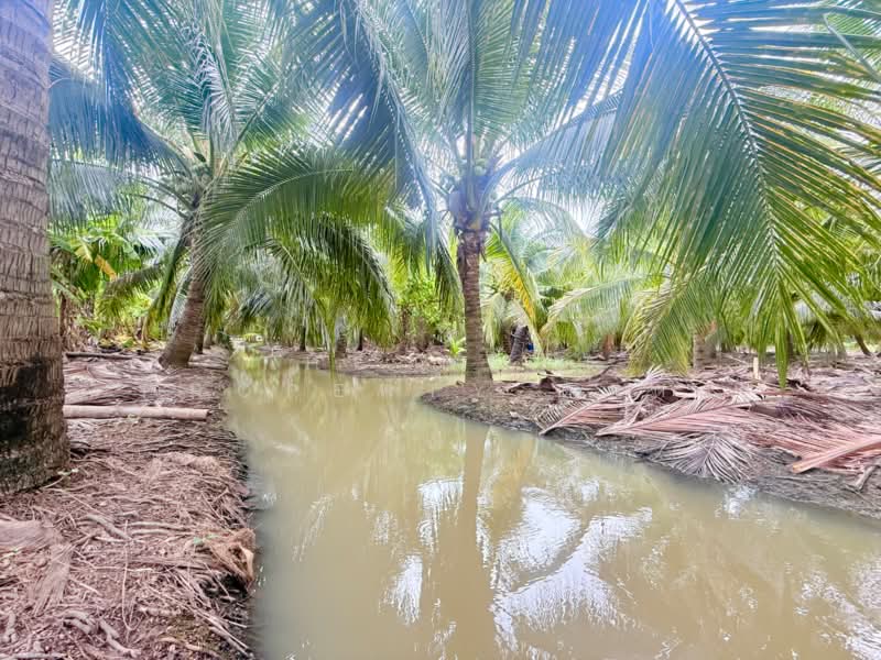 ที่ดินบ้านเกาะ สมุทรสาคร, Samut Sakhon, Ban Ko, Muang Samut Sakhon, Samut Sakhon, , 8,340 sqm, Land For Sale, by The Best Property ดาด้า, 500446708 - DDproperty.com