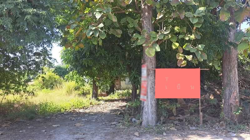 ที่ดินพยุหะคีรี นครสวรรค์, นครสวรรค์, ท่าน้ำอ้อย, พยุหะคีรี, นครสวรรค์, 14,624 ตร.ม., ที่ดิน ขาย, โดย The Best Property  เบ็นซ์, 500446800 - DDproperty.com