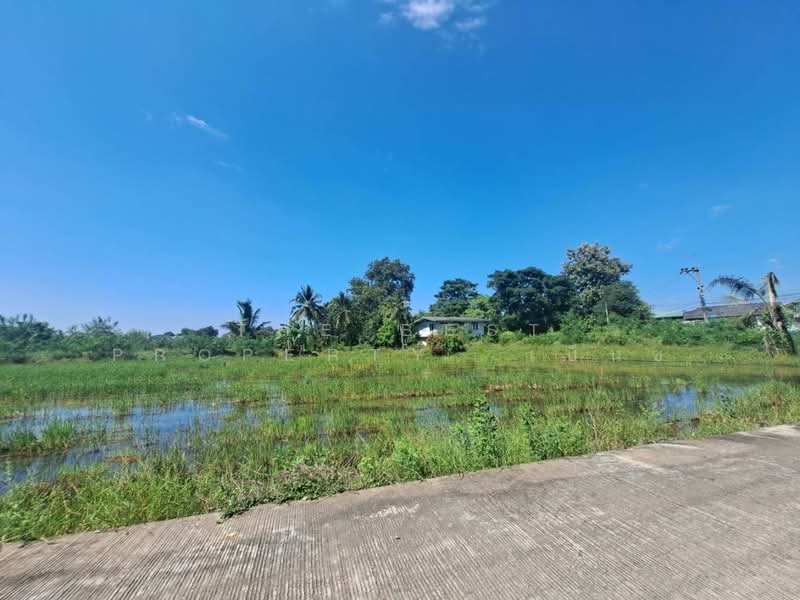ที่ดินพยุหะคีรี นครสวรรค์, นครสวรรค์, ท่าน้ำอ้อย, พยุหะคีรี, นครสวรรค์, 14,624 ตร.ม., ที่ดิน ขาย, โดย The Best Property  เบ็นซ์, 500446800 - DDproperty.com