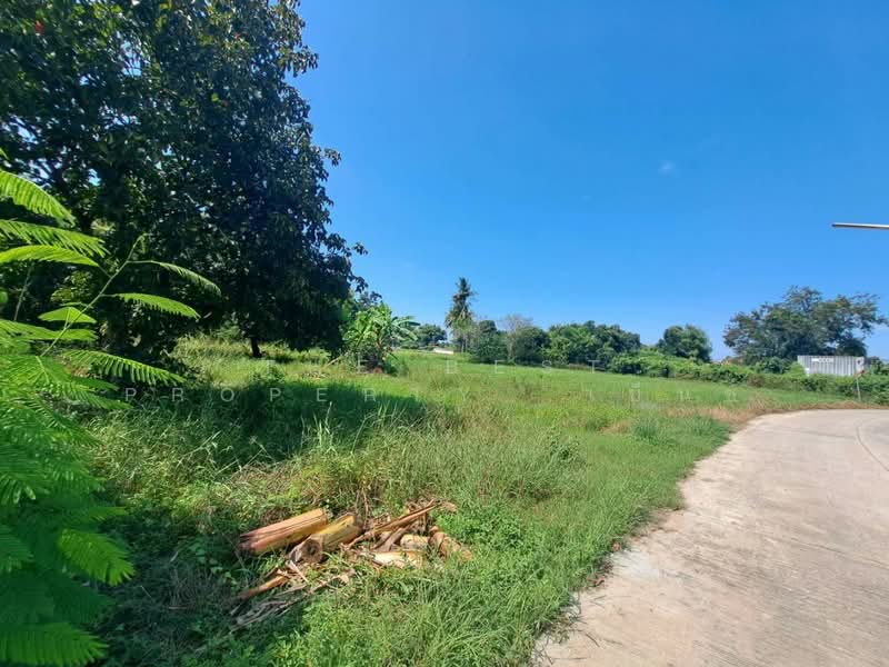 ที่ดินพยุหะคีรี นครสวรรค์, Nakhon Sawan, Tha Nam Oi, Phayuha Khiri, Nakhon Sawan, , 14,624 sqm, Land For Sale, by The Best Property เบ็นซ์, 500446800 - DDproperty.com