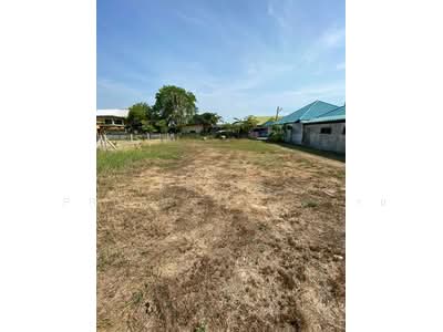 ขาย - ที่ดินหัวหิน ประจวบคีรีขันธ์, ประจวบคีรีขันธ์