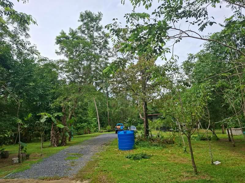 12R0611 This house for rent 3 bedroom 2 bathroom 40,000/month at thalang have fully furnished, ภูเก็ต, เทพกระษัตรี, ถลาง, ภูเก็ต, 120 ตร.ม., บ้านแฝด ให้เช่า, โดย PK LIFE Property, 500446888 - DDproperty.com