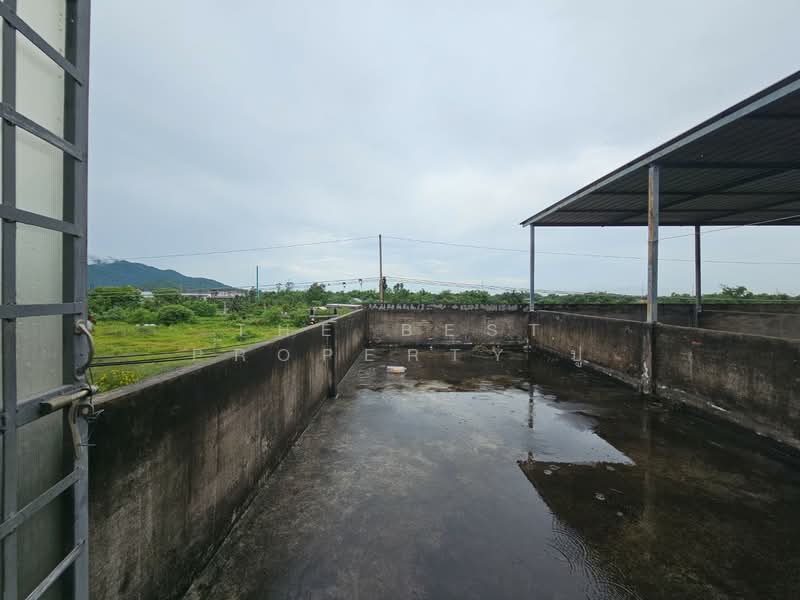 อาคารพาณิชย์บ้านบึง ชลบุรี, Chon Buri (Pattaya), Nong Samsak, Ban Bung, Chon Buri (Pattaya), , 100 sqm, Shophouse For Sale, by The Best Property ปู, 500446937 - DDproperty.com