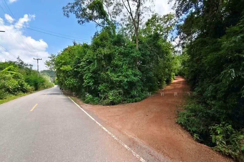ที่ดินเปล่า เนื้อที่ 17-0-53 ไร่ วังจันทร์-ระยอง ใก้ลถนนวัดเขาตลาด-ฮ่องกง, Rayong, Plong Ta Iam, Wang Chan, Rayong, , 27,412 sqm, Land For Sale, by ชนะชาติ นนท์ตา, 500446959 - DDproperty.com