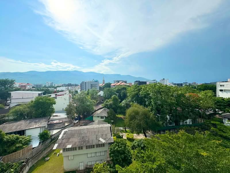 Palm Springs Nimman Parlor, Chiang Mai, Nimmanhaemin Road, Su Thep, Muang Chiang Mai, Chiang Mai, 1 Bedroom, 32 sqm, Condo For Rent, by The Positive ที่ดิน บ้าน คอนโด, 500446978 - DDproperty.com