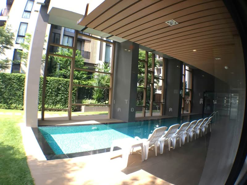 Palm Springs Nimman Parlor, Chiang Mai, Nimmanhaemin Road, Su Thep, Muang Chiang Mai, Chiang Mai, 1 Bedroom, 32 sqm, Condo For Rent, by The Positive ที่ดิน บ้าน คอนโด, 500446978 - DDproperty.com