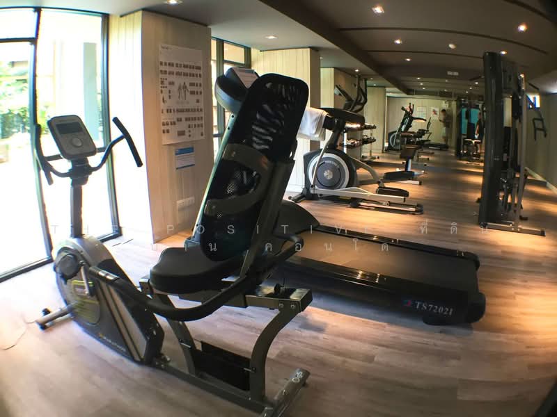 Palm Springs Nimman Parlor, Chiang Mai, Nimmanhaemin Road, Su Thep, Muang Chiang Mai, Chiang Mai, 1 Bedroom, 32 sqm, Condo For Rent, by The Positive ที่ดิน บ้าน คอนโด, 500446978 - DDproperty.com