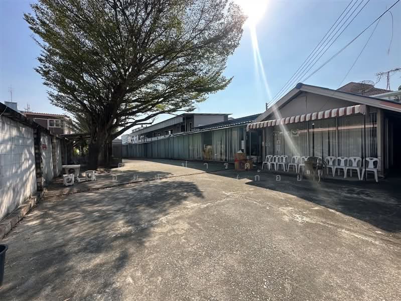 ที่ดิน + บ้านเดี่ยว 2 ชั้น 553.9 ตร.ว. ซอยลาดพร้าว114 ถนนลาดพร้าว, Bangkok, ถนนลาดพร้าว, Phlapphla, Wang Thonglang, Bangkok, , 2,216 sqm, Land For Sale, by คุณ ปารดา พลอยแดง (ก้อย), 500446992 - DDproperty.com
