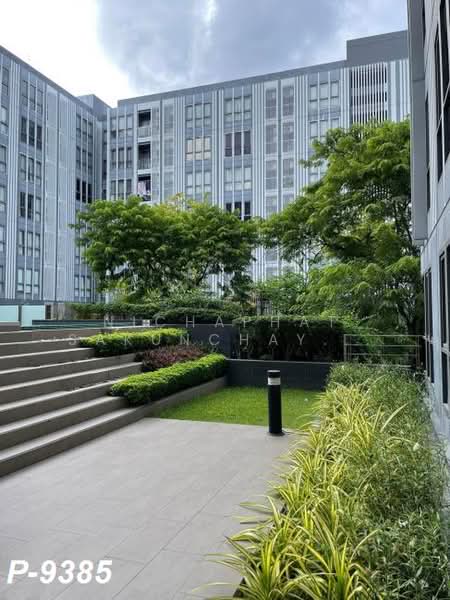 Moniiq Sukhumvit 64, Bangkok, Soi Sukhumvit 64, Bang Chak, Phra Khanong, Bangkok, 1 Bedroom, 32 sqm, Condo For Rent, by Nichaphat Sakunchayapha, 500446994 - DDproperty.com
