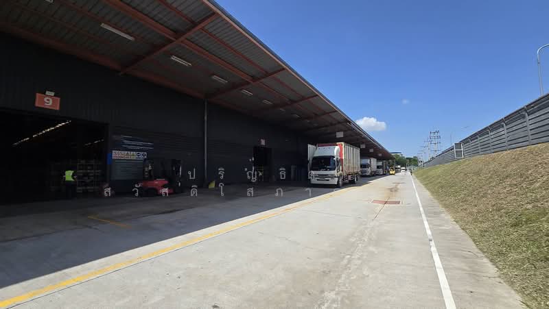 KLN Logistics (Thailand) Limited Rayong Branch, Rayong, ถนนทางหลวง 3574 สายมาบปู–ระยอง, Ta Sit, Pluak Daeng, Rayong, , 2,500 sqm, Warehouse/Factory For Rent, by Parinthida Sawuddisopakaykul, 500447243 - DDproperty.com