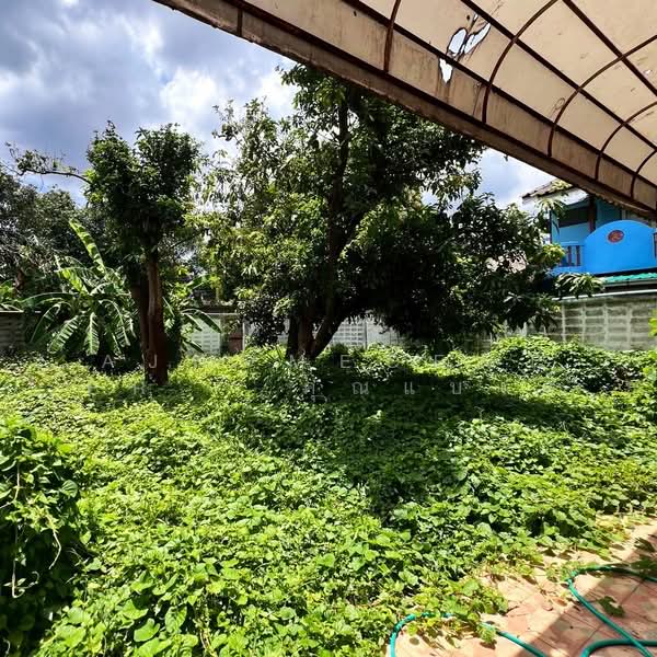 ที่ดินพร้อมบ้านเดี่ยว3หลัง ขนาด2-1-37ไร่ ซ.พระราม9 ซ.53, กรุงเทพ, สวนหลวง, กรุงเทพ, 3,748 ตร.ม., ที่ดิน ขาย, โดย AJHOMECENTER - คุณแบงค์, 500447295 - DDproperty.com