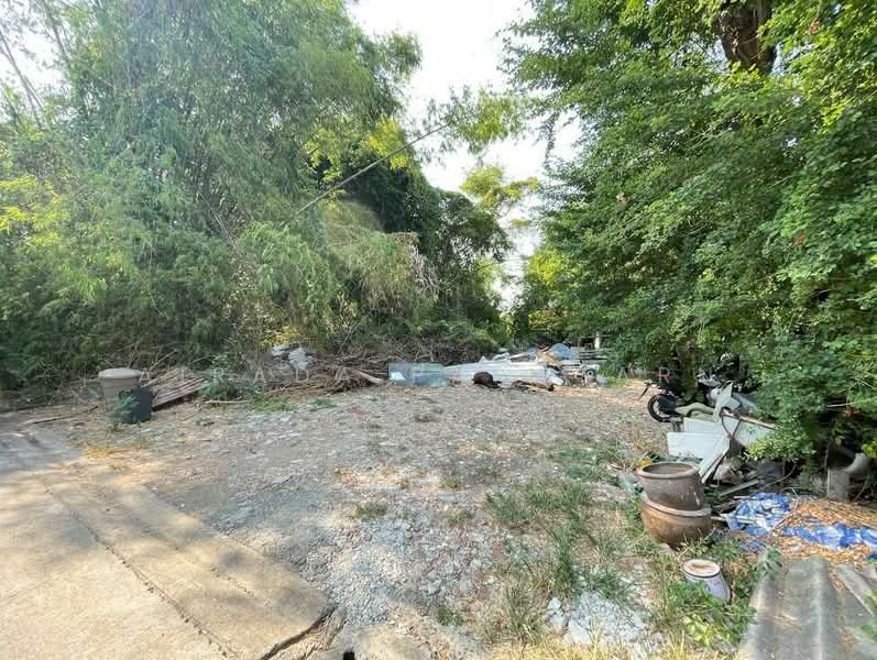 ซอยสังคมสงเคราะห์ 16, Bangkok, Lat Phrao, Bangkok, , 1,884 sqm, Land For Sale, by Airada Parasarn, 500447303 - DDproperty.com