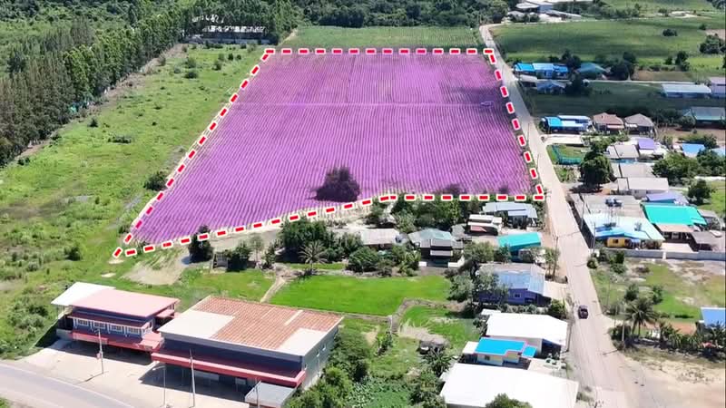 แปลงยาว, Chachoengsao, Plaeng Yao, Chachoengsao, , 37,332 sqm, Land For Sale, by พัชริดา เรียกจำรัส, 500447406 - DDproperty.com