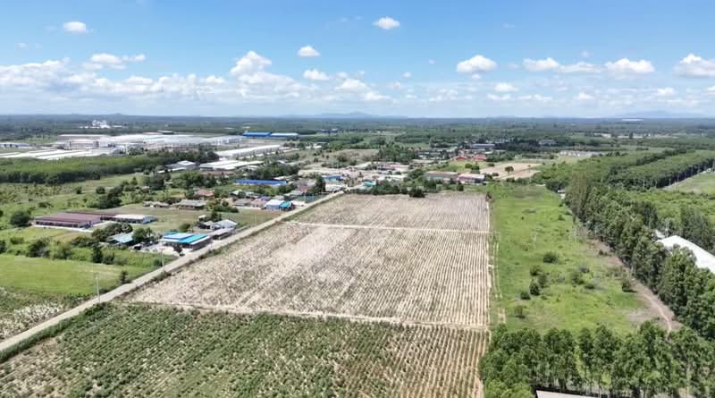 แปลงยาว, Chachoengsao, Plaeng Yao, Chachoengsao, , 37,332 sqm, Land For Sale, by พัชริดา เรียกจำรัส, 500447406 - DDproperty.com