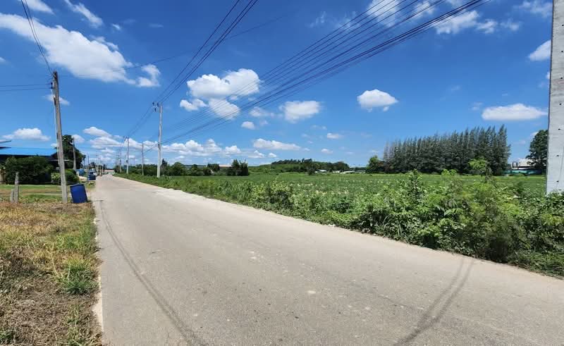 แปลงยาว, Chachoengsao, Plaeng Yao, Chachoengsao, , 37,332 sqm, Land For Sale, by พัชริดา เรียกจำรัส, 500447406 - DDproperty.com
