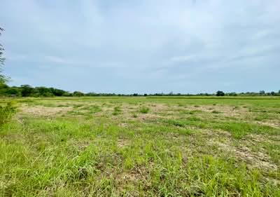 ขาย - ที่ดินพล ขอนแก่น, ขอนแก่น