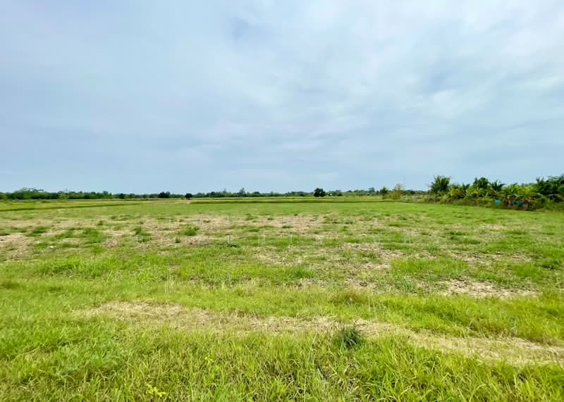 ที่ดินพล ขอนแก่น, Khon Kaen, Phek Yai, Phon, Khon Kaen, , 9,600 sqm, Land For Sale, by The Best Property อัคร, 500447450 - DDproperty.com