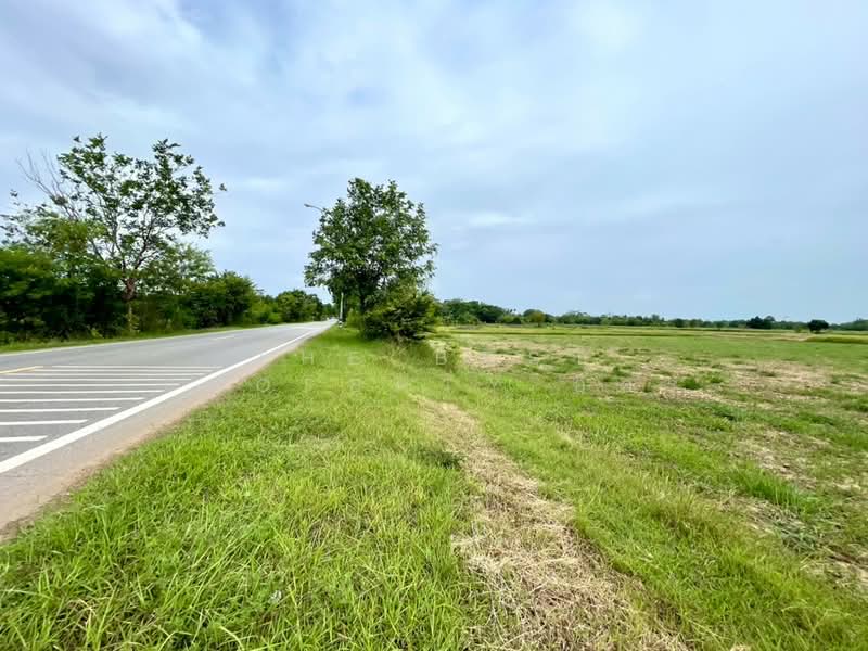 ที่ดินพล ขอนแก่น, Khon Kaen, Phek Yai, Phon, Khon Kaen, , 9,600 sqm, Land For Sale, by The Best Property อัคร, 500447450 - DDproperty.com