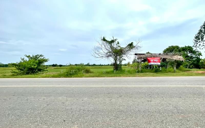 ที่ดินพล ขอนแก่น, Khon Kaen, Phek Yai, Phon, Khon Kaen, , 9,600 sqm, Land For Sale, by The Best Property อัคร, 500447450 - DDproperty.com