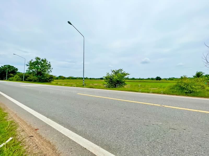 ที่ดินพล ขอนแก่น, Khon Kaen, Phek Yai, Phon, Khon Kaen, , 9,600 sqm, Land For Sale, by The Best Property อัคร, 500447450 - DDproperty.com