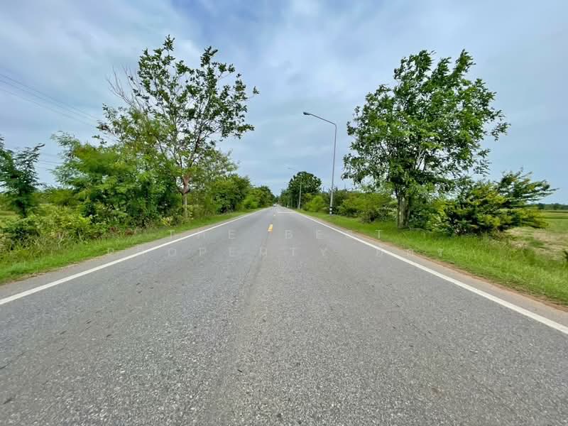 ที่ดินพล ขอนแก่น, Khon Kaen, Phek Yai, Phon, Khon Kaen, , 9,600 sqm, Land For Sale, by The Best Property อัคร, 500447450 - DDproperty.com