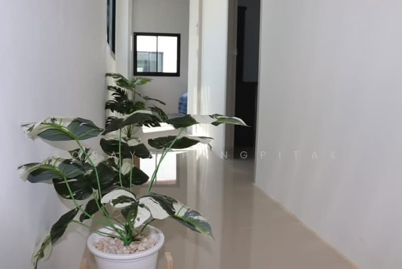 บ้านนอดิก มินิมอล, Sakon Nakhon, That Na Weng, Muang Sakon Nakhon, Sakon Nakhon, 2 Bedrooms, 90 sqm, Townhouse For Sale, by Soraya Pongpitak, 500447491 - DDproperty.com