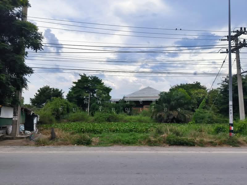 ที่ดิน บางเลน นครปฐม 16 ไร่, นครปฐม, ทางหลวง 3351, หินมูล, บางเลน, นครปฐม, 25,600 ตร.ม., ที่ดิน ขาย, โดย พิพัฒน์ชัย ชัยศรีบุญเรือง, 500447518 - DDproperty.com
