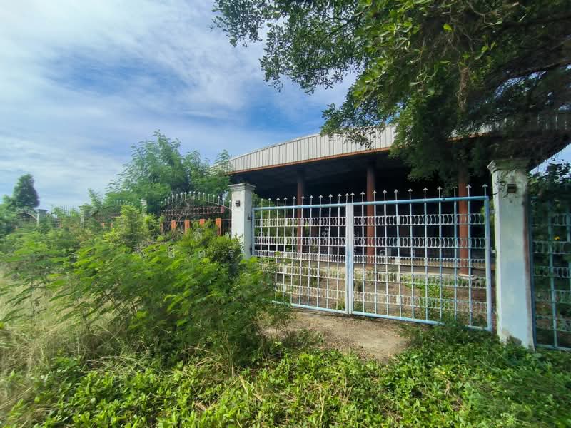 ที่ดิน บางเลน นครปฐม 16 ไร่, Nakhon Pathom, ทางหลวง 3351, Hin Mun, Bang Len, Nakhon Pathom, , 25,600 sqm, Land For Sale, by พิพัฒน์ชัย ชัยศรีบุญเรือง, 500447518 - DDproperty.com