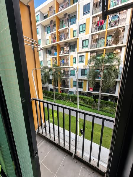 iCondo Sukhumvit 105, Bangkok, 20 Soi Lasalle 19,  Sukhumvit 105 Road, Bang Na, Bangkok, 1 Bedroom, 33 sqm, Condo For Rent, by Anyaporn Srikanlayanabut, 500447519 - DDproperty.com