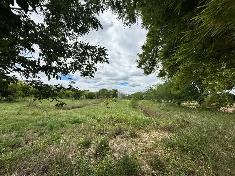 ที่ดินพระทองคำ นครราชสีมา, nakhon-ratchasima, Sra Phra, Phra Thong Kham, Nakhon Ratchasima, , 15,524 sqm, Land For Sale, by The Best Property พร, 500447542 - DDproperty.com