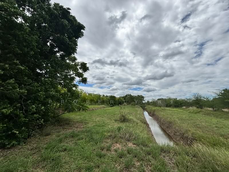 ที่ดินพระทองคำ นครราชสีมา, nakhon-ratchasima, Sra Phra, Phra Thong Kham, Nakhon Ratchasima, , 15,524 sqm, Land For Sale, by The Best Property พร, 500447542 - DDproperty.com