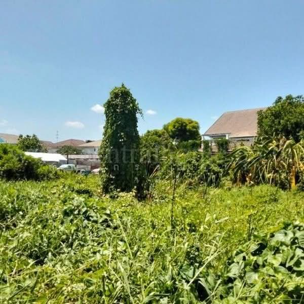ร่วมใจพัฒนา, นนทบุรี, นครอินทร์, บางขุนกอง, บางกรวย, นนทบุรี, 1,388 ตร.ม., ที่ดิน ขาย, โดย คุณ กรรณิการ์ ( เอ๋ ), 500447545 - DDproperty.com