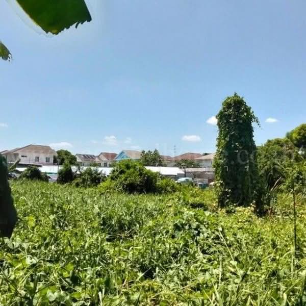 ร่วมใจพัฒนา, นนทบุรี, นครอินทร์, บางขุนกอง, บางกรวย, นนทบุรี, 1,388 ตร.ม., ที่ดิน ขาย, โดย คุณ กรรณิการ์ ( เอ๋ ), 500447545 - DDproperty.com