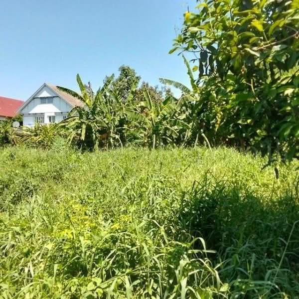 ร่วมใจพัฒนา, Nonthaburi, นครอินทร์, Bang Khun Kong, Bang Kruai, Nonthaburi, , 1,388 sqm, Land For Sale, by คุณ กรรณิการ์ ( เอ๋ ), 500447545 - DDproperty.com
