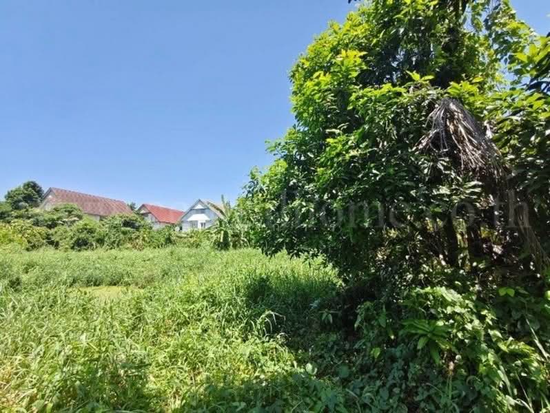 ร่วมใจพัฒนา, นนทบุรี, นครอินทร์, บางขุนกอง, บางกรวย, นนทบุรี, 1,388 ตร.ม., ที่ดิน ขาย, โดย คุณ กรรณิการ์ ( เอ๋ ), 500447545 - DDproperty.com