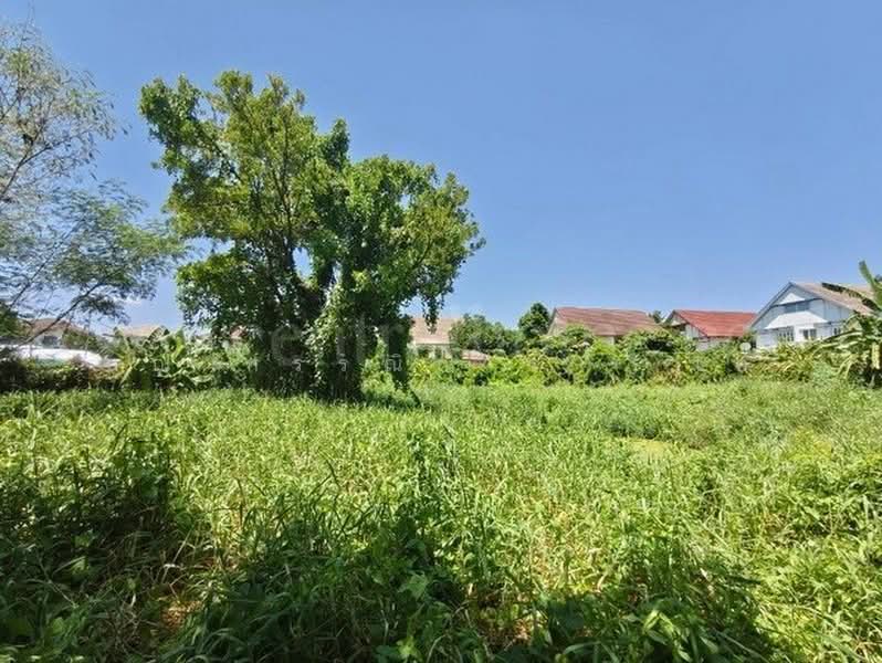 ร่วมใจพัฒนา, นนทบุรี, นครอินทร์, บางขุนกอง, บางกรวย, นนทบุรี, 1,388 ตร.ม., ที่ดิน ขาย, โดย คุณ กรรณิการ์ ( เอ๋ ), 500447545 - DDproperty.com
