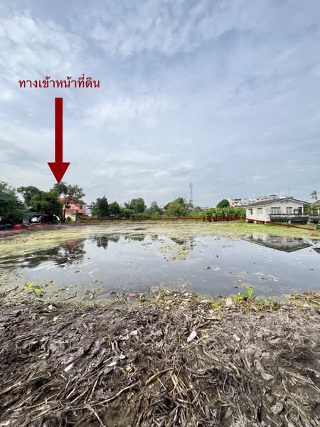 ที่ดินเปล่าแปลงสวย ทำเลศักยภาพ ซอยเอกชัย 83 บางบอน กรุงเทพมหานคร, Bangkok, เอกชัย, Bang Bon, Bangkok, , 2,840 sqm, Land For Sale, by ศุภวัฒน์ ไชยสาร, 500447554 - DDproperty.com