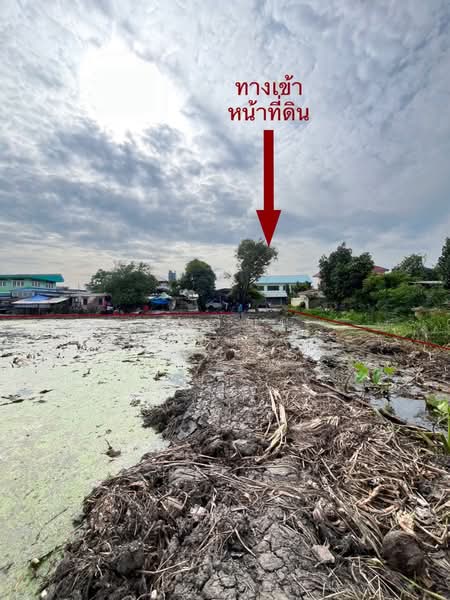 ที่ดินเปล่าแปลงสวย ทำเลศักยภาพ ซอยเอกชัย 83 บางบอน กรุงเทพมหานคร, กรุงเทพ, เอกชัย, บางบอน, กรุงเทพ, 2,840 ตร.ม., ที่ดิน ขาย, โดย ศุภวัฒน์ ไชยสาร, 500447554 - DDproperty.com