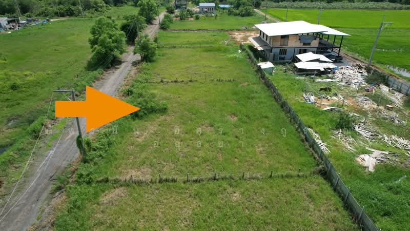 ที่ดิน ถนนประชาสำราญ, Bangkok, Nong Chok, Bangkok, , 800 sqm, Land For Sale, by ภัทรนัน อิศรางกูร ณ อยุธยา, 500447605 - DDproperty.com