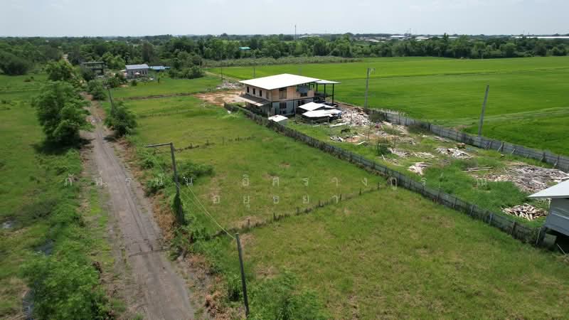 ที่ดิน ถนนประชาสำราญ, กรุงเทพ, หนองจอก, กรุงเทพ, 800 ตร.ม., ที่ดิน ขาย, โดย ภัทรนัน อิศรางกูร ณ อยุธยา, 500447605 - DDproperty.com