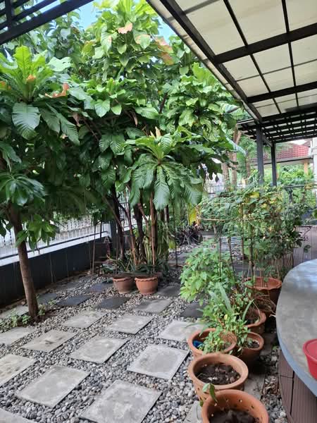 บ้านเดี่ยว รามอินทรา 34 แยก 15, Bangkok, Tha Rang, Bang Khen, Bangkok, 3 Bedrooms, 200 sqm, Single Detached House For Sale, by Chananya Watanapa, 500447702 - DDproperty.com