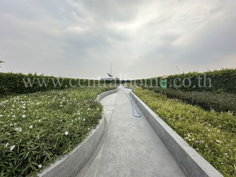 Monte Rama 9-Ramkhamhang : มอนเต พระราม 9-รามคำแหง, กรุงเทพ, ซอยรามคำแหง 8 แยก 10 (อุดมยศ 2), หัวหมาก, บางกะปิ, กรุงเทพ, 29 ตร.ม., คอนโด ขาย, โดย คุณ เมธาวี (จอย), 500447706 - DDproperty.com