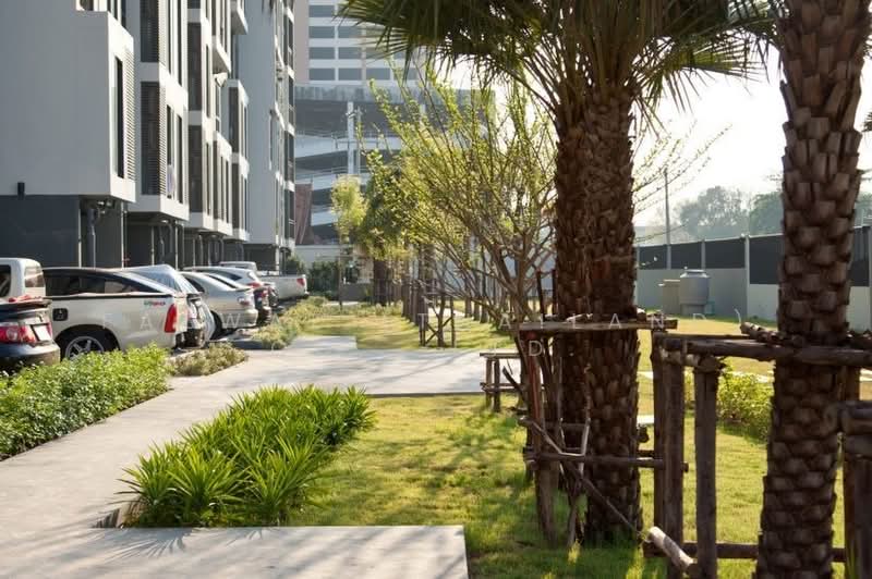 Living Nest Ramkhamhaeng, Bangkok, 845 Ramkhamhaeng Road, Hua Mak, Bang Kapi, Bangkok, 1 Bedroom, 30 sqm, Condo For Sale, by Fazwaz (Thailand) Co., Ltd., 500447775 - DDproperty.com